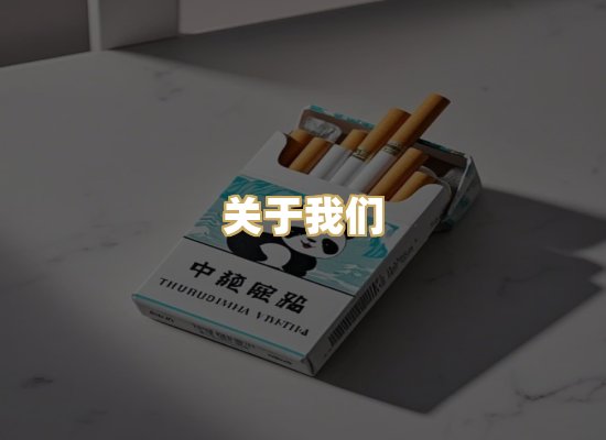 关于我们